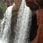 Water-Damage-Repair-Berkeley